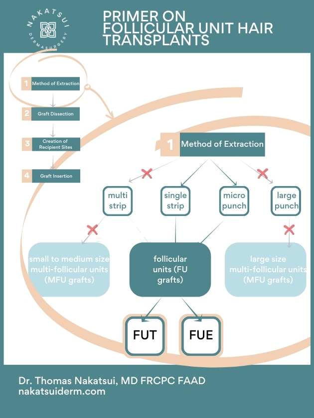 follicular unit hair transplant diagram fut vs fue