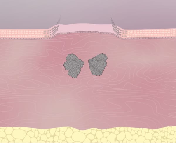 cellfx regenerates